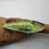 Swimglide 15 Pike