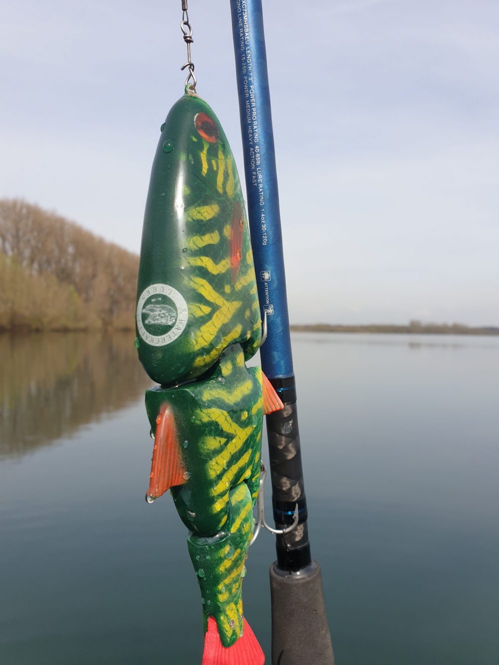 Swim 22 Pike No.2