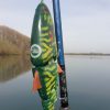 Swim 22 Pike No.2