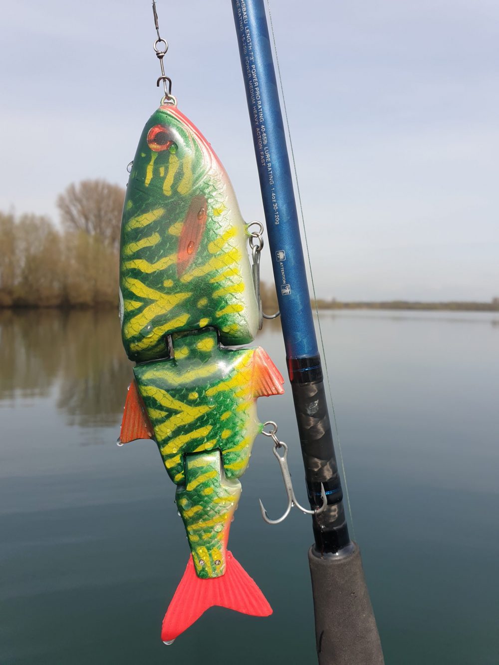 Swim 22 Pike No.2