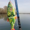 Swim 22 Pike No.2