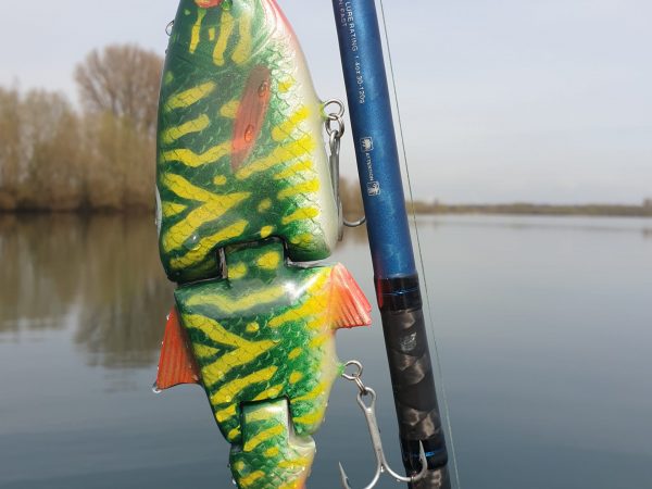 Swim 22 Pike No.2