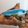 Swimglide 15 Pro Blue
