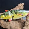Swim 22 Fancy Perch