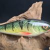 Swimglide 15 Fancy Perch