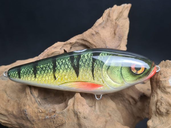 Derra Pike Fancy Perch